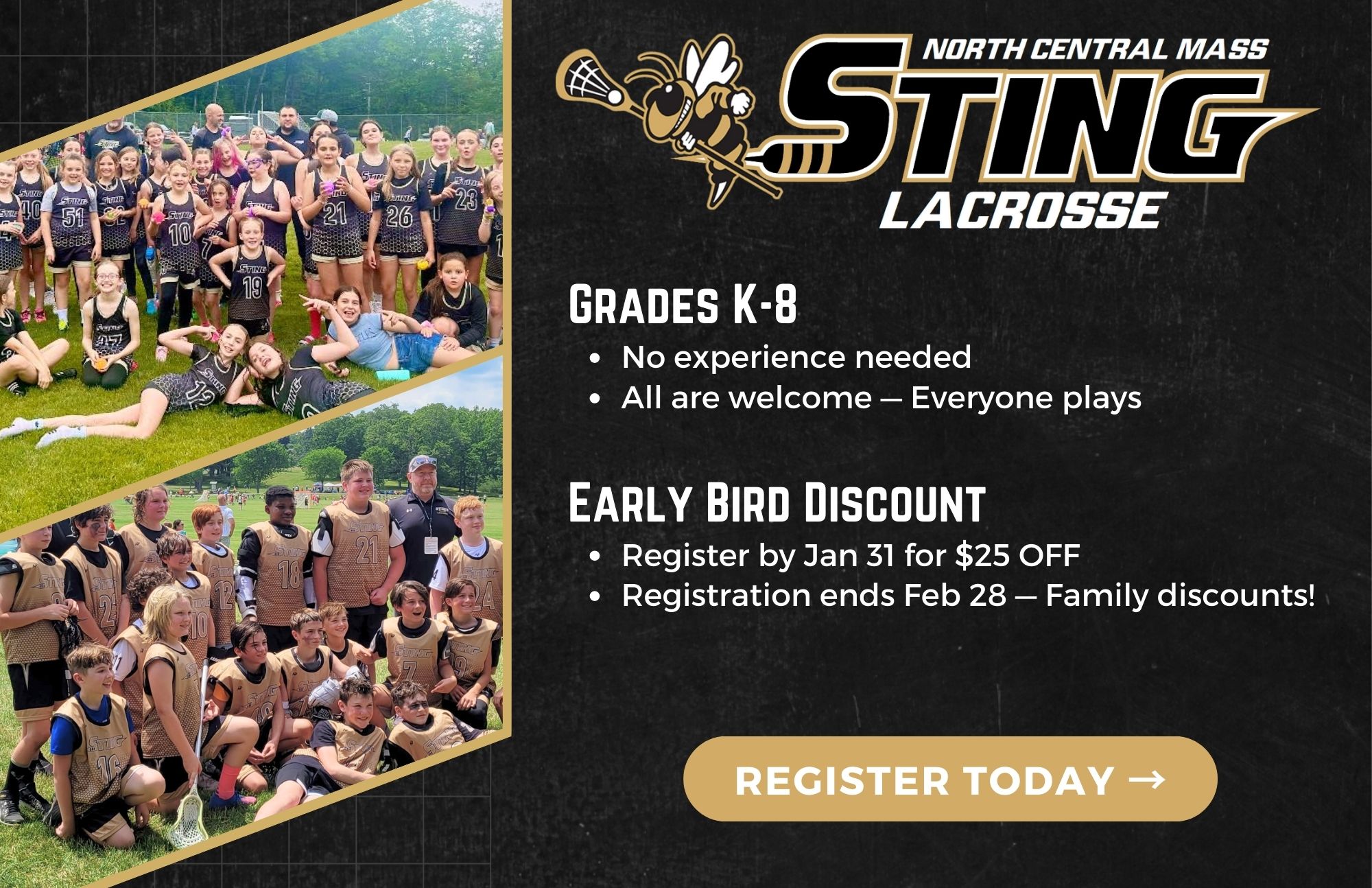 Sting Flyer Website 2026