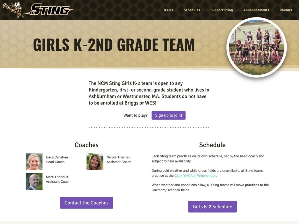 Sting Website 2022, Each Team page.