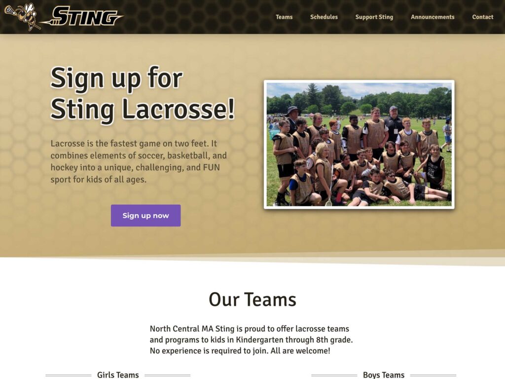 Sting Website 2022 Homepage.